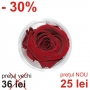 Trandafir natural STABILIZAT pentru 1 An